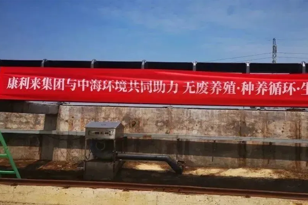 2-2409111050052C